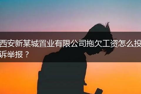 西安新某城置业有限公司拖欠工资怎么投诉举报？