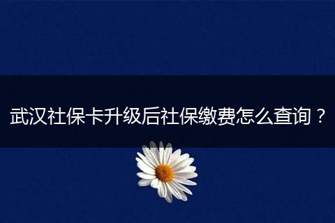 武汉社保卡升级后社保缴费怎么查询？
