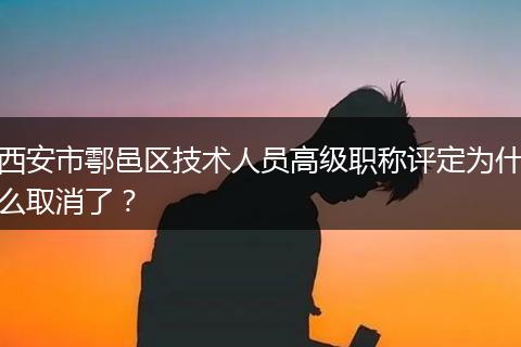 西安市鄠邑区技术人员高级职称评定为什么取消了？