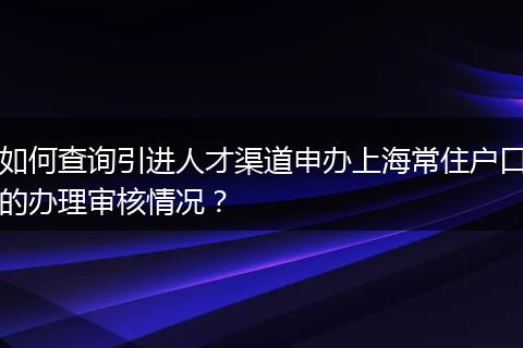 如何查询引进人才渠道申办上海常住户口的办理审核情况？