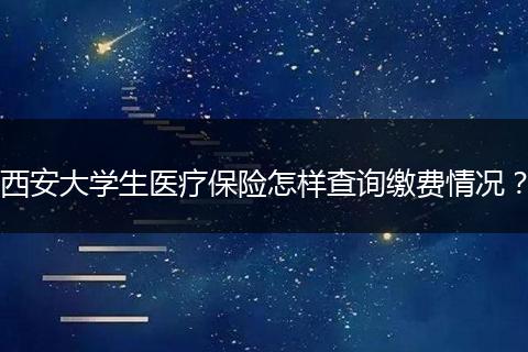 西安大学生医疗保险怎样查询缴费情况？