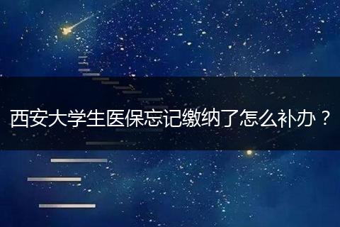 西安大学生医保忘记缴纳了怎么补办？