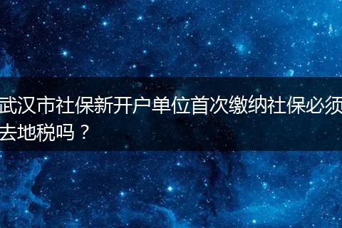 武汉市社保新开户单位首次缴纳社保必须去地税吗？