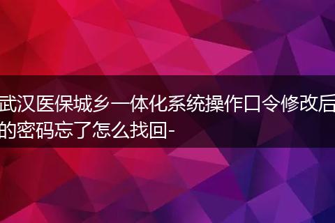 武汉医保城乡一体化系统操作口令修改后的密码忘了怎么找回-