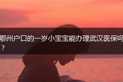 鄂州户口的一岁小宝宝能办理武汉医保吗？