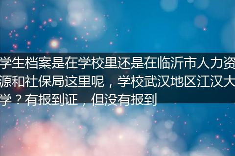 学生档案是在学校里还是在临沂市人力资源和社保局这里呢，学校武汉地区江汉大学？有报到证，但没有报到