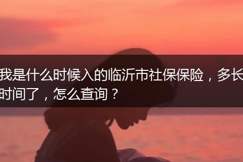 我是什么时候入的临沂市社保保险，多长时间了，怎么查询？