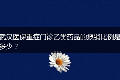 武汉医保重症门诊乙类药品的报销比例是多少？