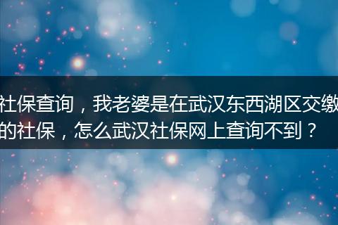社保查询，我老婆是在武汉东西湖区交缴的社保，怎么武汉社保网上查询不到？