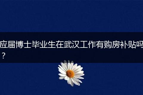 应届博士毕业生在武汉工作有购房补贴吗？