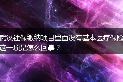 武汉社保缴纳项目里面没有基本医疗保险这一项是怎么回事?