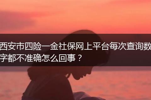 西安市四险一金社保网上平台每次查询数字都不准确怎么回事？