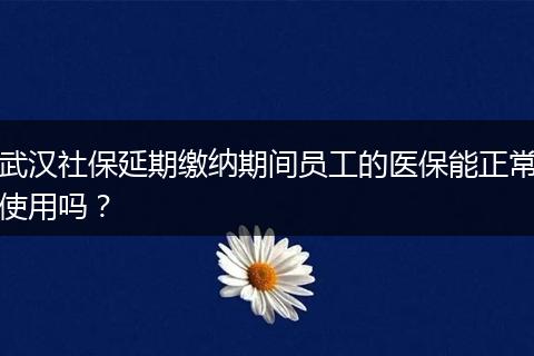 武汉社保延期缴纳期间员工的医保能正常使用吗？