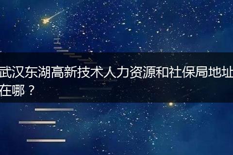 武汉东湖高新技术人力资源和社保局地址在哪？