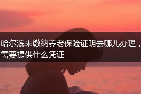 哈尔滨未缴纳养老保险证明去哪儿办理，需要提供什么凭证