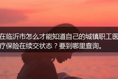 在临沂市怎么才能知道自己的城镇职工医疗保险在续交状态？要到哪里查询。