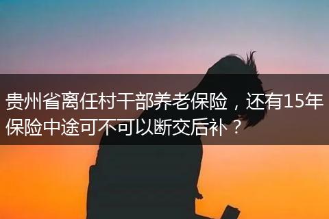 贵州省离任村干部养老保险，还有15年保险中途可不可以断交后补？