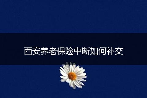 西安养老保险中断如何补交