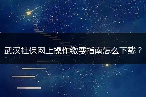 武汉社保网上操作缴费指南怎么下载？