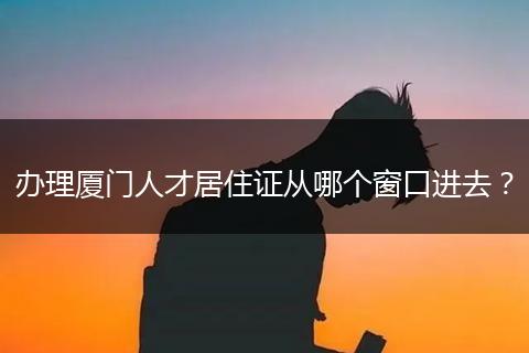办理厦门人才居住证从哪个窗口进去？