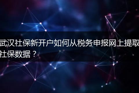 武汉社保新开户如何从税务申报网上提取社保数据？