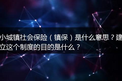 小城镇社会保险（镇保）是什么意思？建立这个制度的目的是什么？