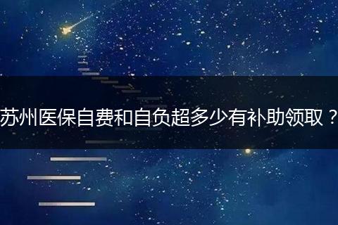 苏州医保自费和自负超多少有补助领取？