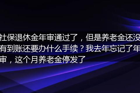社保退休金年审通过了，但是养老金还没有到账还要办什么手续？我去年忘记了年审，这个月养老金停发了