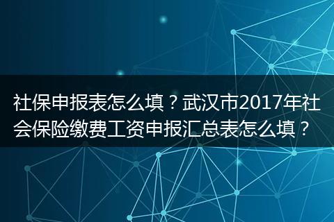 社保申报表怎么填？武汉市2017年社会保险缴费工资申报汇总表怎么填？