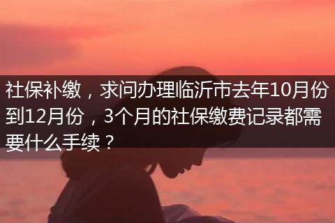 社保补缴，求问办理临沂市去年10月份到12月份，3个月的社保缴费记录都需要什么手续？