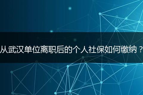 从武汉单位离职后的个人社保如何缴纳？