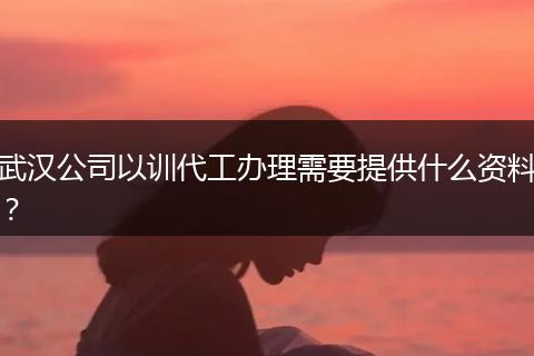 武汉公司以训代工办理需要提供什么资料？