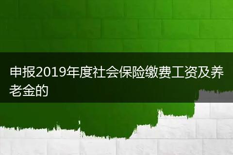 申报2019年度社会保险缴费工资及养老金的