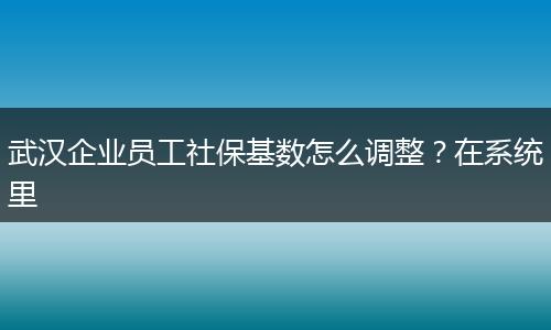武汉企业员工社保基数怎么调整？在系统里