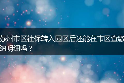 苏州市区社保转入园区后还能在市区查缴纳明细吗？