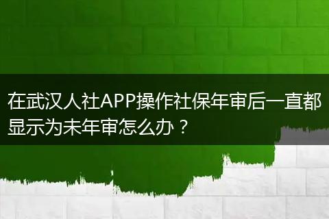 在武汉人社APP操作社保年审后一直都显示为未年审怎么办？
