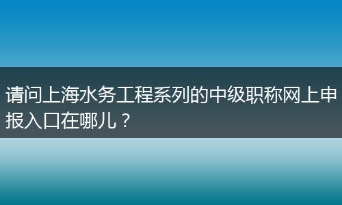 请问上海水务工程系列的中级职称网上申报入口在哪儿？
