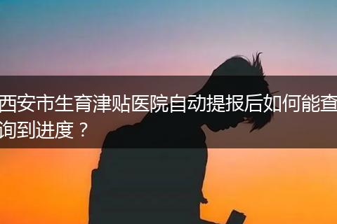 西安市生育津贴医院自动提报后如何能查询到进度？