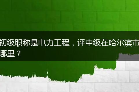 初级职称是电力工程，评中级在哈尔滨市哪里？
