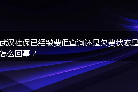 武汉社保已经缴费但查询还是欠费状态是怎么回事？