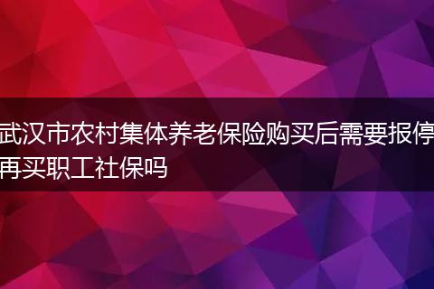 武汉市农村集体养老保险购买后需要报停再买职工社保吗