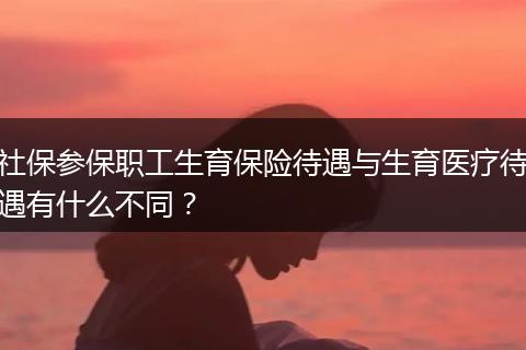 社保参保职工生育保险待遇与生育医疗待遇有什么不同?