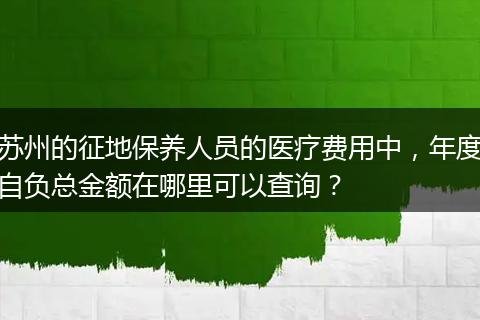 苏州的征地保养人员的医疗费用中，年度自负总金额在哪里可以查询？