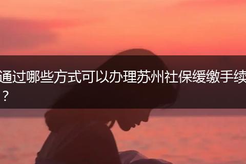 通过哪些方式可以办理苏州社保缓缴手续？