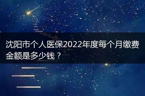 沈阳市个人医保2022年度每个月缴费金额是多少钱？