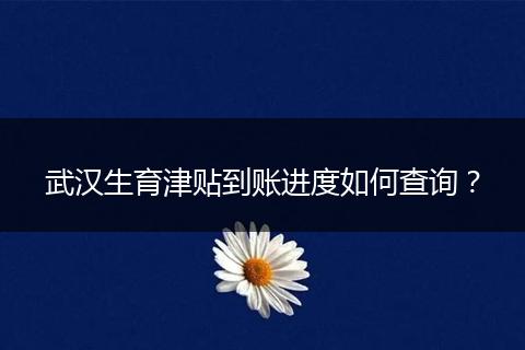 武汉生育津贴到账进度如何查询？