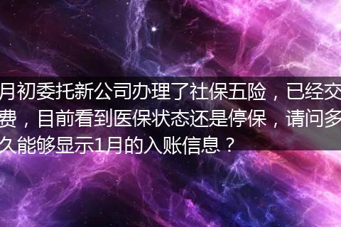 月初委托新公司办理了社保五险，已经交费，目前看到医保状态还是停保，请问多久能够显示1月的入账信息？