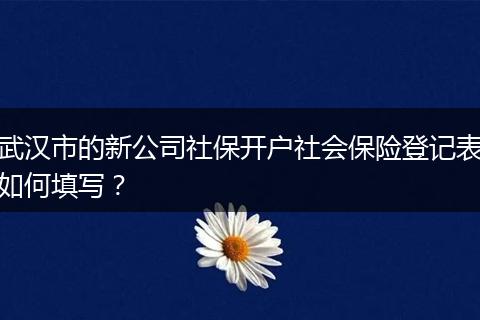 武汉市的新公司社保开户社会保险登记表如何填写？