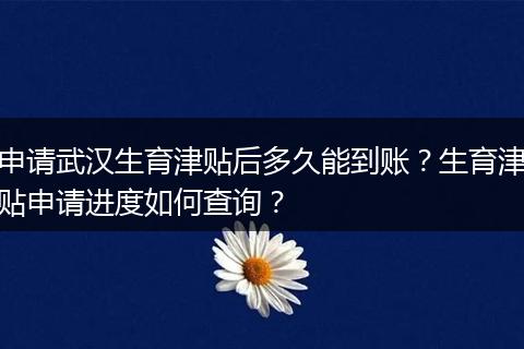申请武汉生育津贴后多久能到账？生育津贴申请进度如何查询？