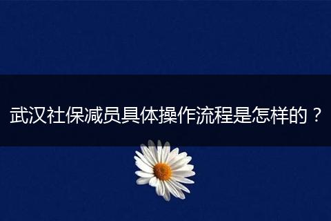 武汉社保减员具体操作流程是怎样的？